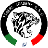 tigers_academy